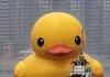 Quacktastic