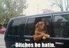 Bitches be hatin.