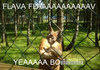 Bboy Kangaroo