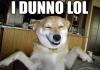 I dunno lol