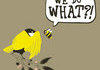 The birds and the bees