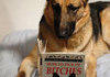 Bitches