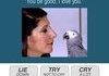 Parrot's last words