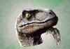Philosoraptor
