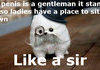 Like a Sir