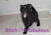 Bitch i'm fabulous