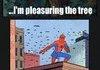spider man comp.