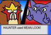 mean look