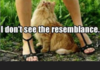 resemblance