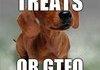 Treats Or Gtfo