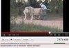 Youtube...