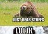 Bear stuffs