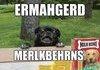 ERMAHGERD