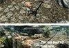 Skyrim