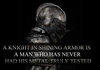 Knight in shining armor