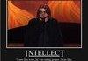 Mitch Hedberg Motivationals