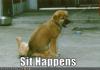 Sit happens