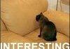 MFW studying for finals