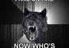 insanity wolf