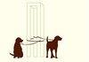 Eshers Dogs
