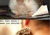 The cuteness