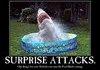 SURPRISE ATTACKS