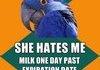 Paranoid Parrot Comp (Pt 1 of 2)