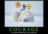 courage