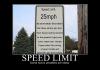 The Limit