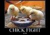CHICK FIGHT