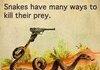 Snakes
