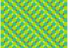 Optical illusion: Primrose's field