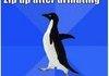 Penguins comp...o0o...o0o...o0o...o0o...
