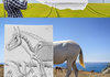 Drawing vs. Photography