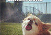 ERMAHGERD