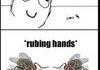 Evil Flies