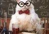 Chemistry Cat 5