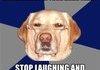 RACIST DOG