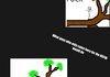 How to get the apple.