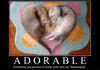 D'awww