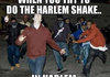 shaken not stirred