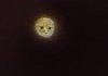 Sweet dreams moon cat