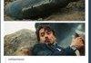 Murphy Stark