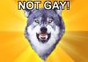 Courage wolf not gay?