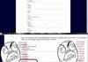 NerdTest
