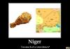 Niger