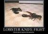 Lobster Fight