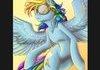 Ponycomp 114
