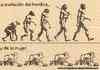Evolution