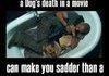 I am legend